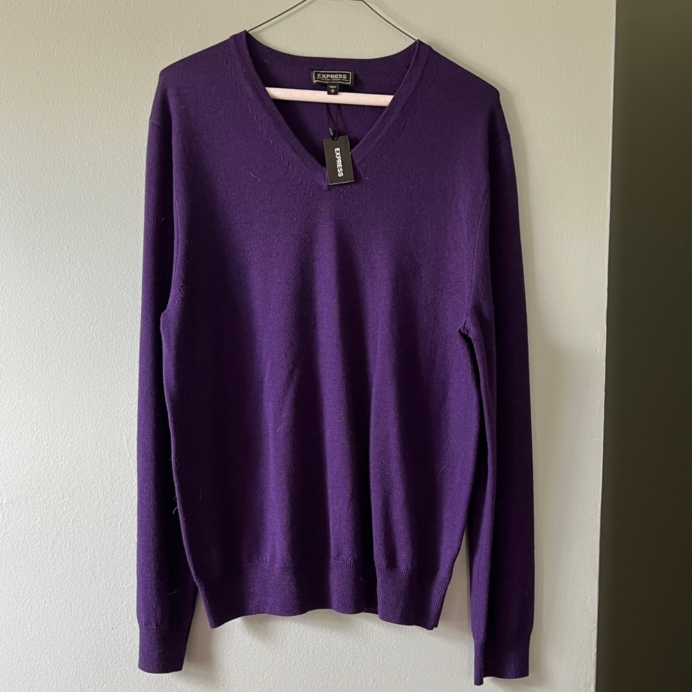 Express Merino Wool V-Neck Sweater NWT